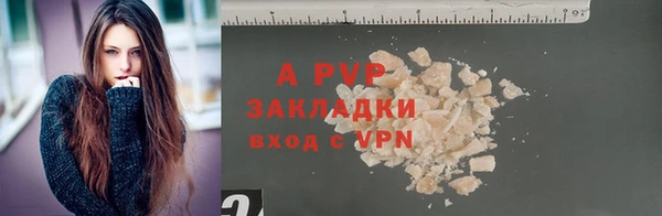 гашик Ивангород