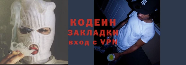2c-b Гусев