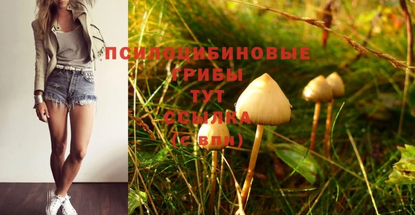 гашишное масло Гусь-Хрустальный