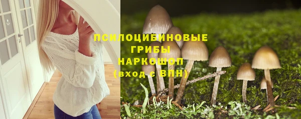 mdpv Гусиноозёрск