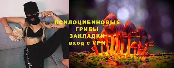 стаф Тихорецк