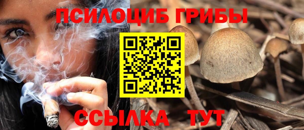 Псилоцибиновые грибы прущие грибы  Вход с VPN  Наро-Фоминск 